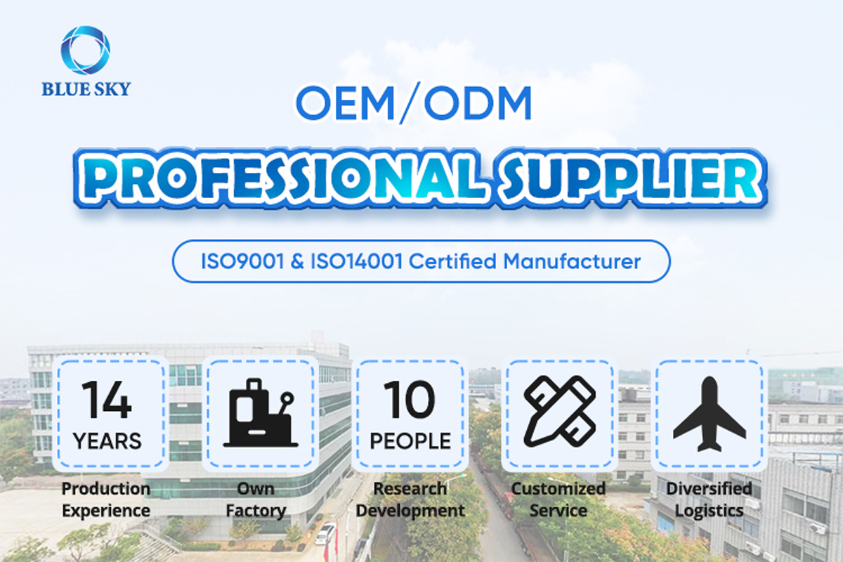 OEM/ODM Professional Supplier Nanjing Blue Sky Filter Co., Ltd.