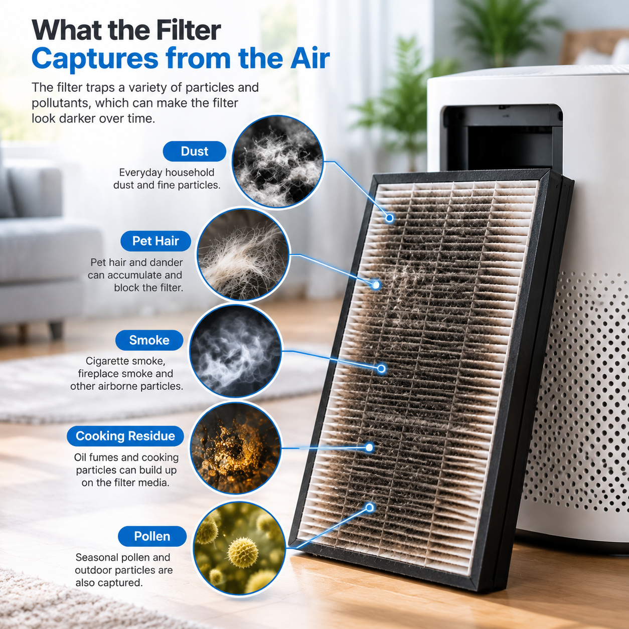 What the filter captures from the air What the filter captures from the air