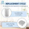 Activated Carbon HEPA Filter Fits for Molekule Air Purifier