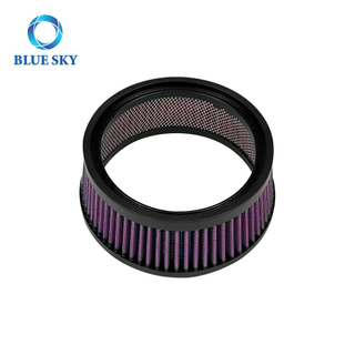 Motorcycle Modified Part Motorcycle Air Filter Replacement for Harley Sportster Iron XL 883 XL1200 Sport Nightster 72 Forty-Eight 19 0206-0091 0206-0001 1011-2909 9469