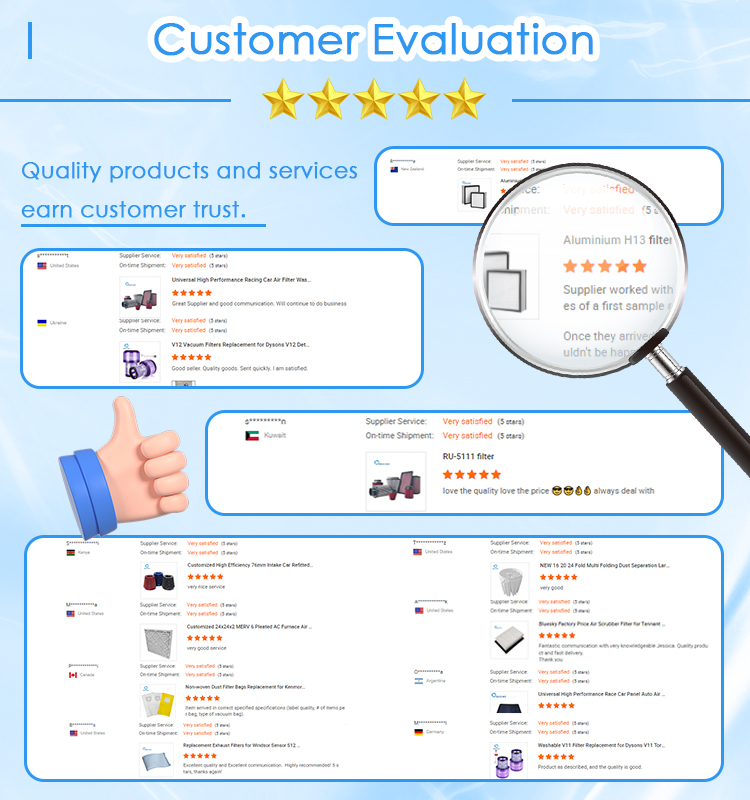Blue Sky Filter Customer Evaluation