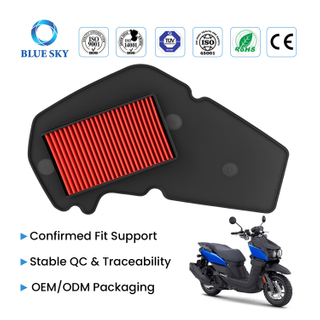 Motorcycle Air Filter Element Replacement Fit for Yamahas BWS 125 Intake Air Cleaner, High Flow Washable OEM Custom Available