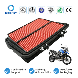 T2200557 Motorcycle Air Filter Fit for Tigers 800 XC XCX XR XRX 2010-2019 Customized Available