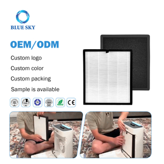3-in-1 HAP603 Activated Carbon True HEPA Replacement Filter for ECOSELF Air Purifier