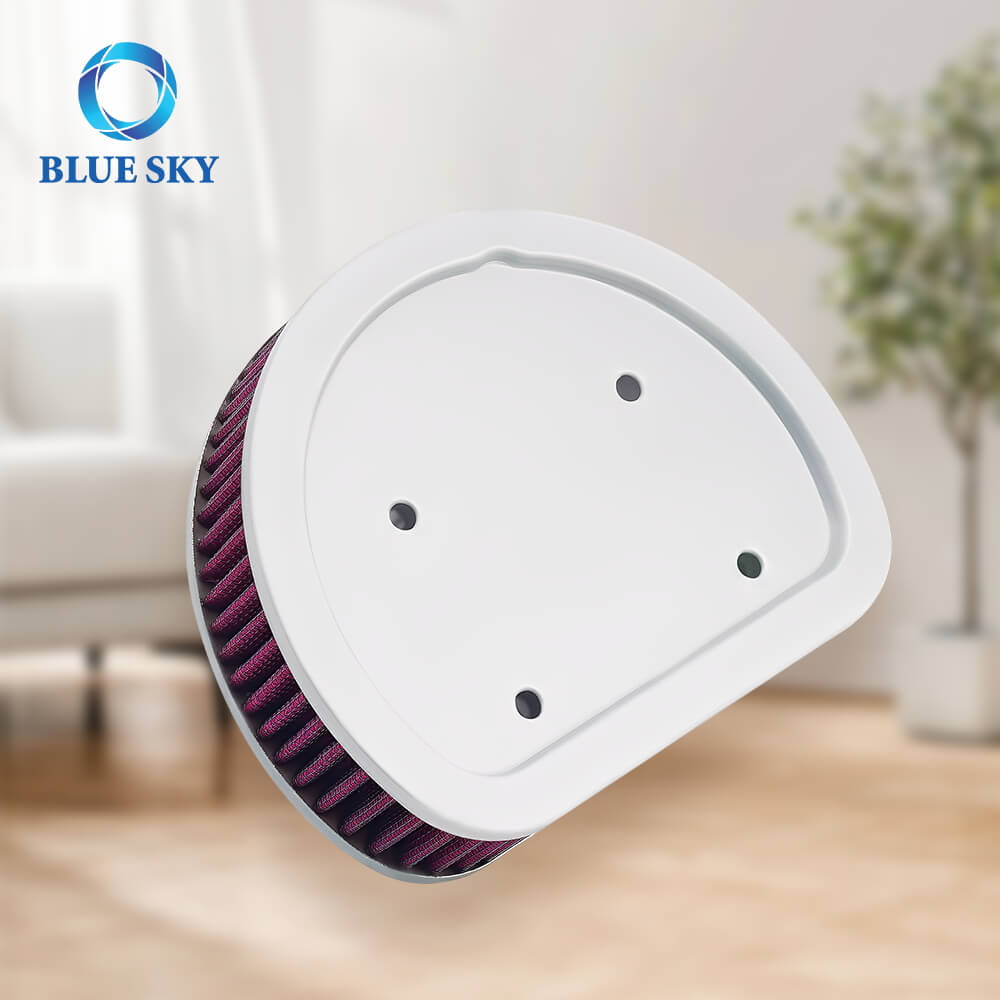 1011-4208 Harley air filter replacement