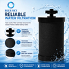 2387 Pro activated carbon water filter replacement compatible with selected Alexapures Pro gravity-fed filtration systems