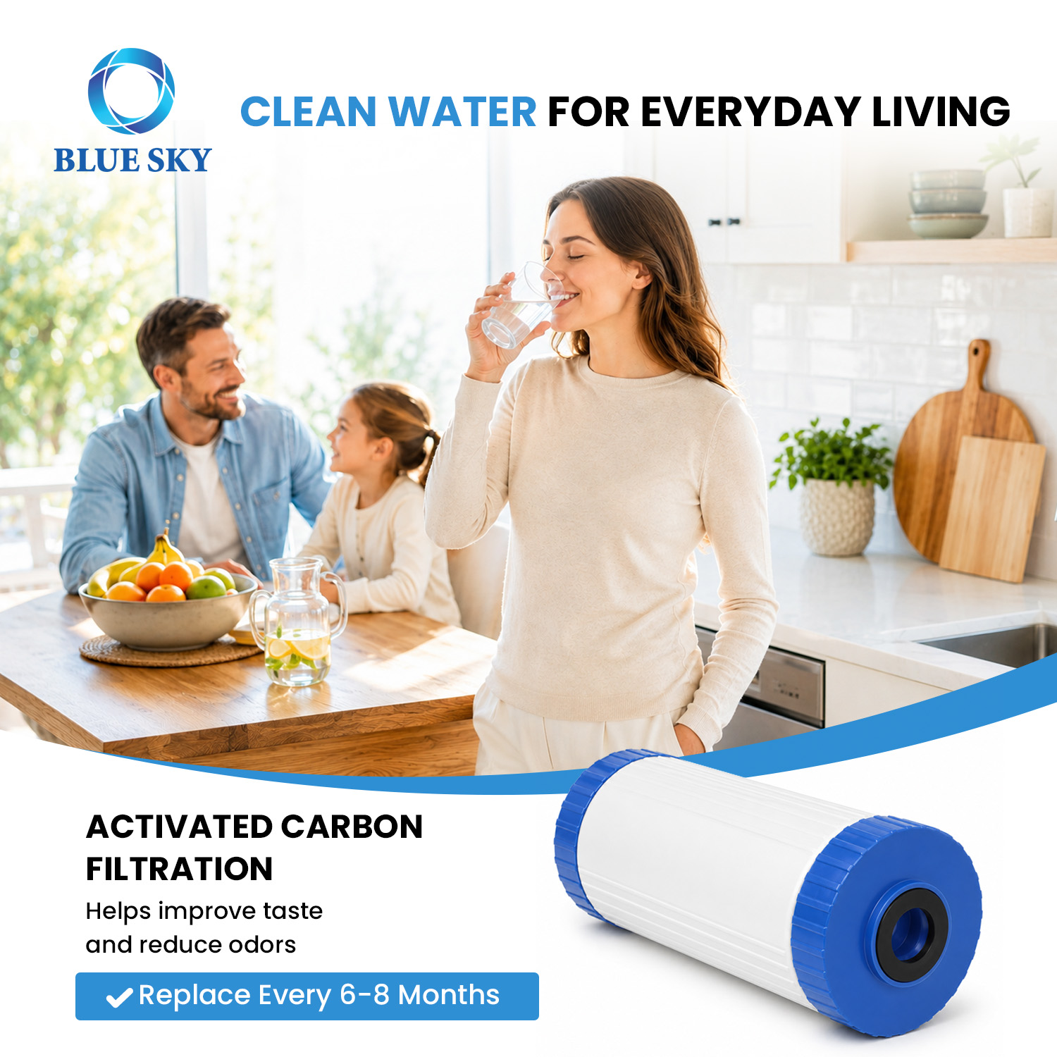 4.5 x 10 inch refillable whole house water filter cartridge compatible with Big Blue housing for sediment carbon and OEM filtration solutions