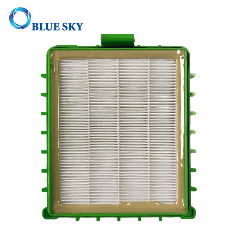 Green HEPA Filter for Rowenta ZR004801 Vacuum Cleaner