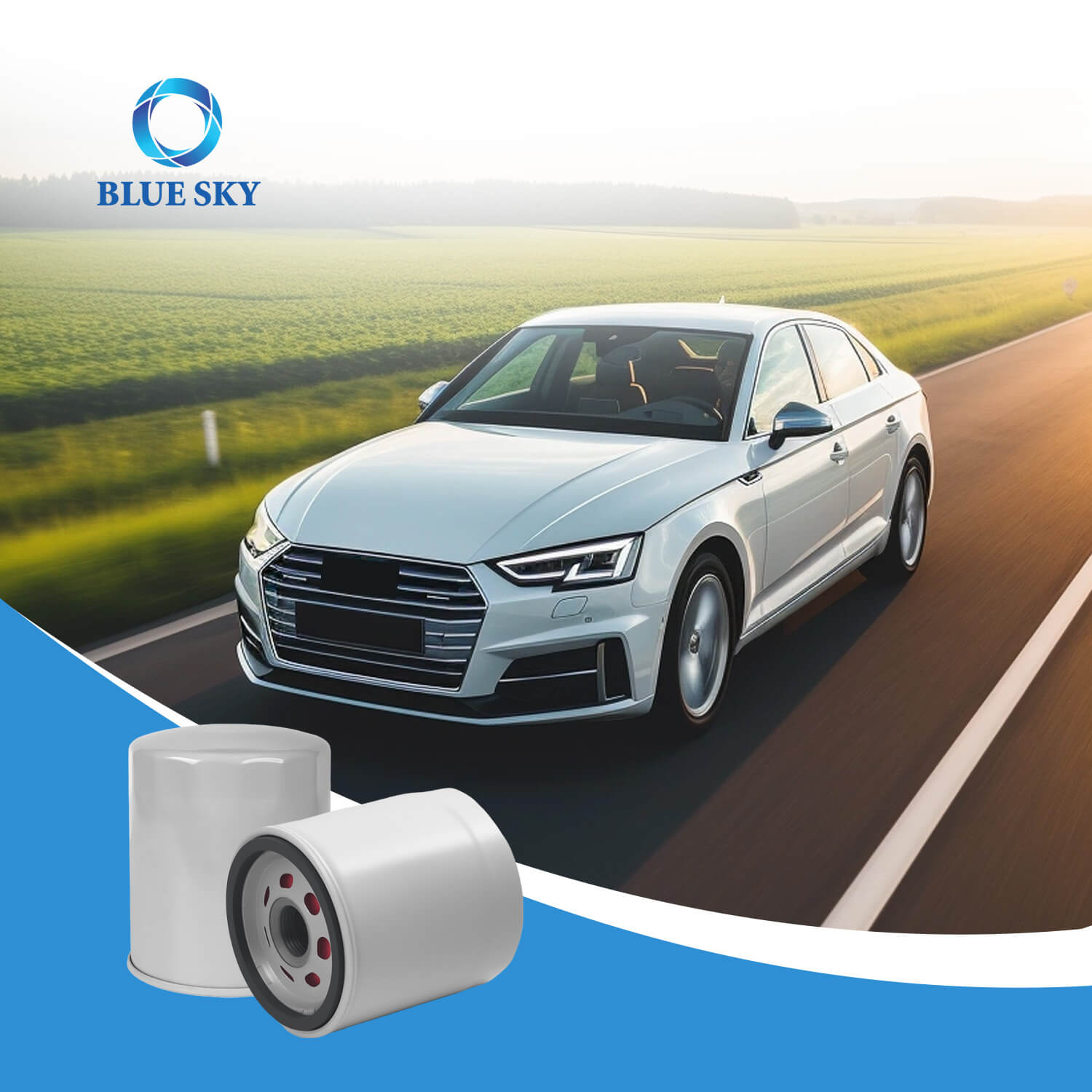 Car Filter, Engine Oil Filter FL910S for FORD