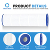 CCP420 pool filter cartridge set fit for Pentairs Clean & Clear Plus 420 R173576 PCC105 FC-1977 replacement