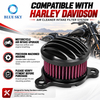 Black finned motorcycle air cleaner kit with red cotton gauze filter and mounting hardware for selected Sportster models