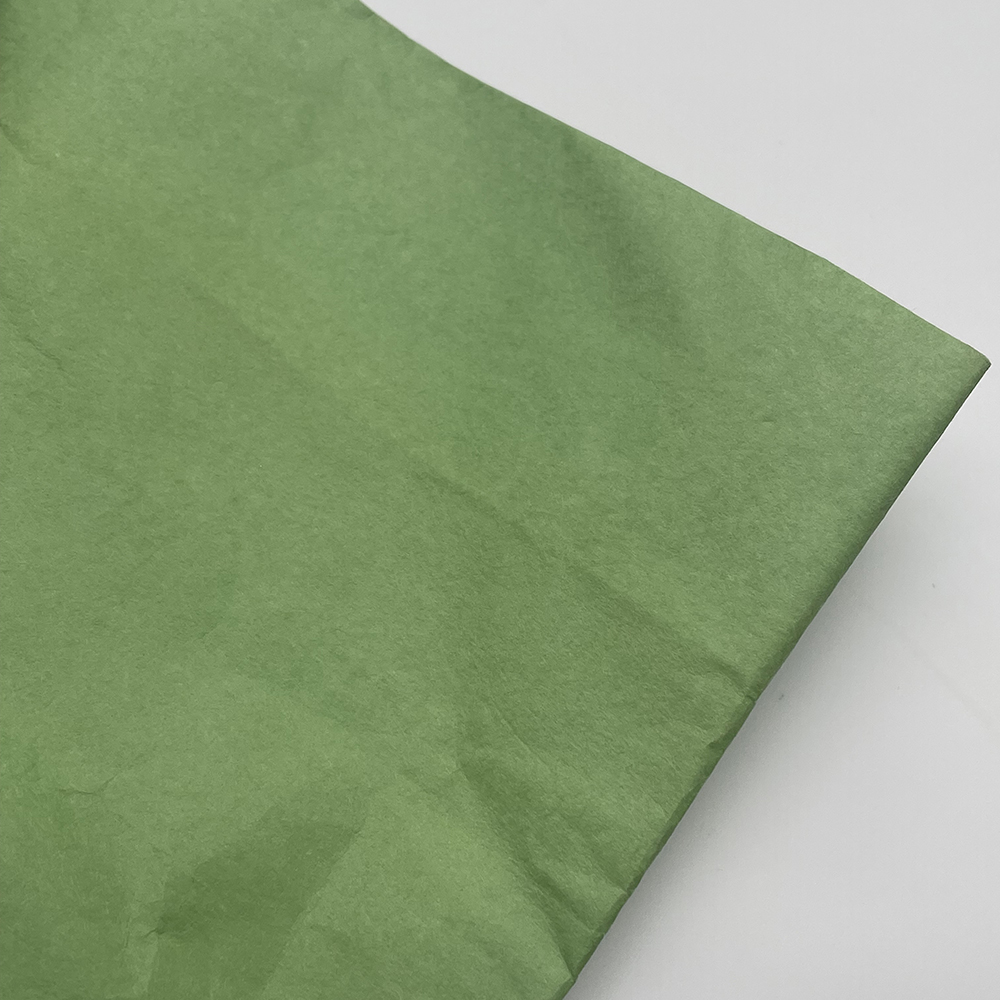Replacement Green Paper Bag Filter for ProTeam 107374 Vacuum Cleaner Bags