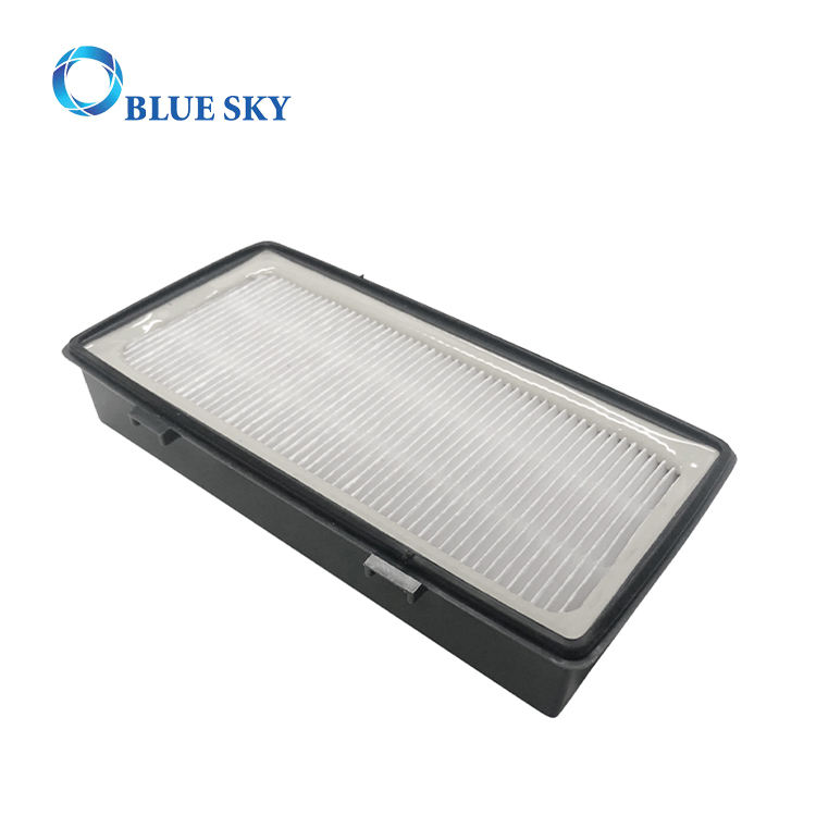 HEPA Filter and Pre-Motor Filter for Rowenta Zr006001 Vacuum Cleaner