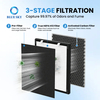 H13 HEPA activated carbon replacement filter compatible with Oneisall PP02 pet air purifier for pet hair dander and odor control