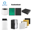 Blue Sky Filter OEM ODM Customized Activated Carbon Cartridge Panel Air HEPA Filter for Air Purifier Parts