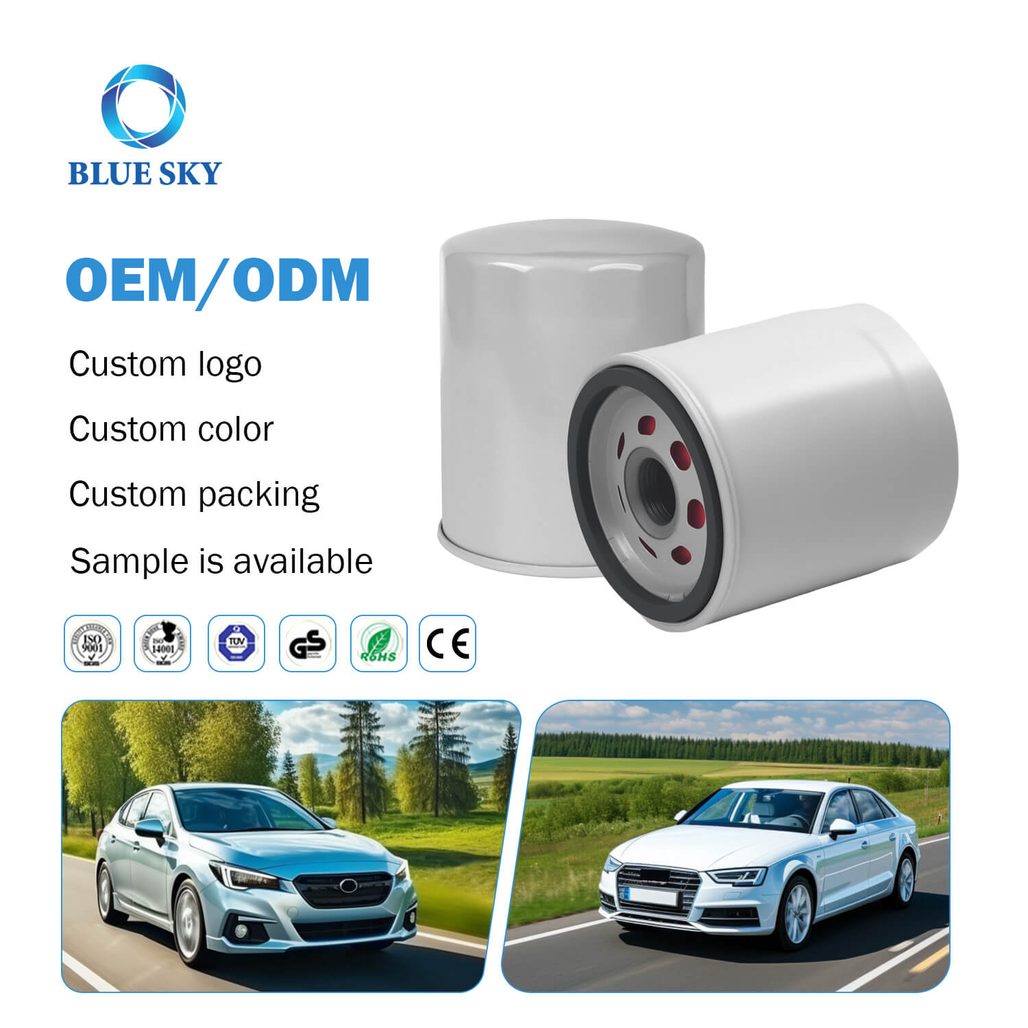 OEM ODM Car Filter Supplier Engine Oil Filter FL910S for FORD