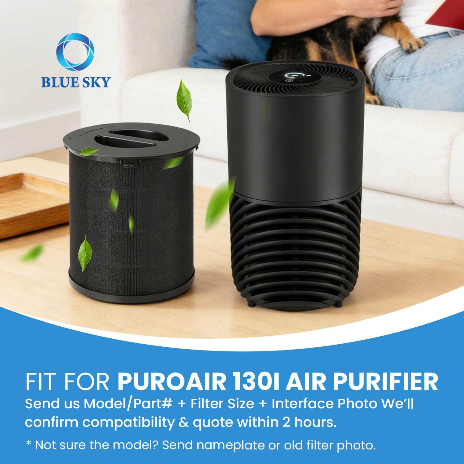 Blue Sky Filter 130i Replacement Filter for PuroAir 130i Air Purifier