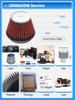 Professional Auto Filter Wholesale Supplier - Blue Sky Filter