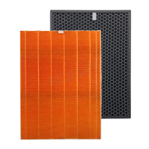 Active Carbon Filter and H13 True HEPA Filter Replacement for Winix C555 Air Purifier # 116131